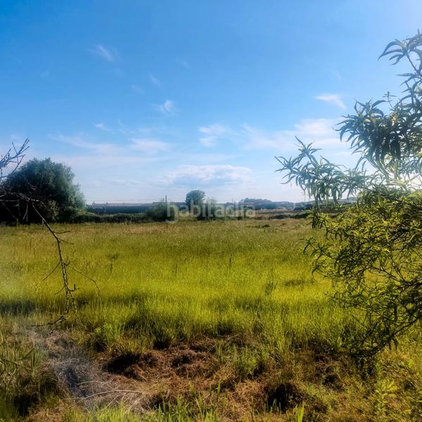 Foto 73f2cd39-0fea-4694-8082-b78b21cd8a1a. Rural plot in Losar de la Vera