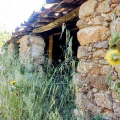 Finca rústica a N/a. Inmoex vende finca de 15.700m2 con enramada en jarandilla