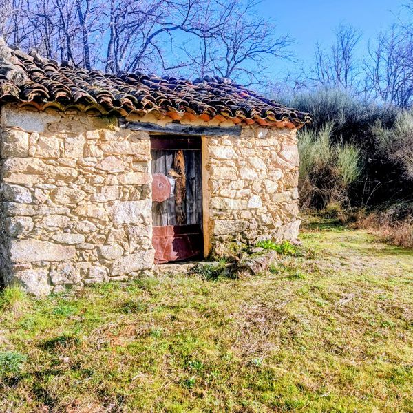 Foto 1cfa3d23-994d-418a-b40e-64fad9fd397d. Fondo rustico in travesía cuacos de yuste 12 in Talayuela