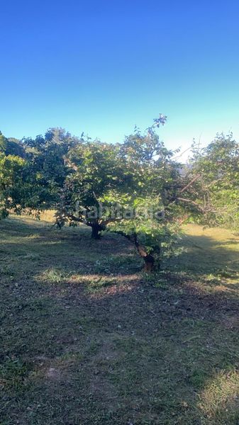 Foto c2235771-5764-456a-ab2b-f4f1a63b1177. Finca rústica en Aldeanueva de la Vera