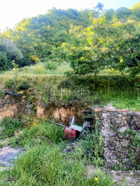 Foto d78dde9b-d29a-4adb-9928-86d5961952dd. Finca rústica en Aldeanueva de la Vera