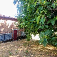 Finca rústica  Calle el tablao. Finca con edificacion en jarandilla
