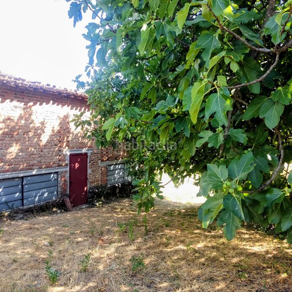 Foto 6815ef47-ab7a-4da1-aff0-d134e1300944. Finca rústica finca con edificacion en jarandilla en Jarandilla de la Vera