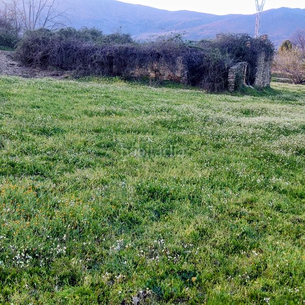Foto 27e6712f-f133-49a5-a24f-f5b126e915fa. Finca rústica a Jarandilla de la Vera