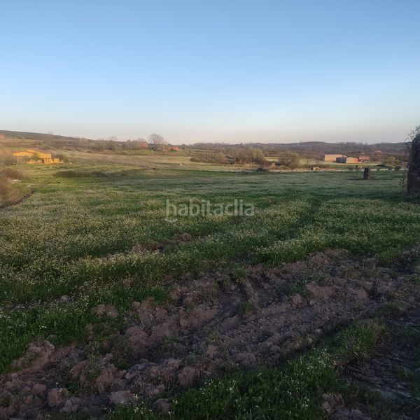 Foto 4eb00417-d531-42c3-9dce-e832c84b0169. Finca rústica a Jarandilla de la Vera
