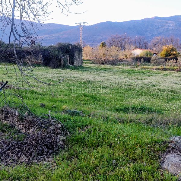 Foto 97615fa2-01b6-45db-9c34-76b3a7099cd3. Finca rústica a Jarandilla de la Vera