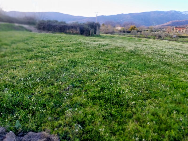Foto c59956a0-3132-46a7-ac0b-626e568f41e9. Finca rústica a Jarandilla de la Vera