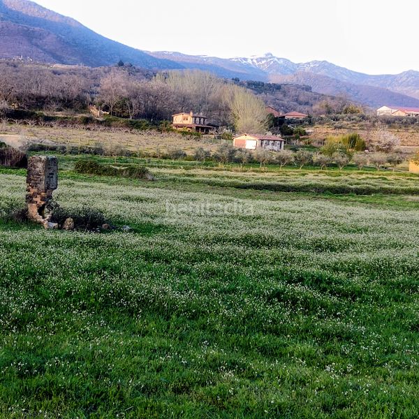 Foto d3dab3d7-35a8-44b8-b9cd-1286138d97f6. Finca rústica a Jarandilla de la Vera