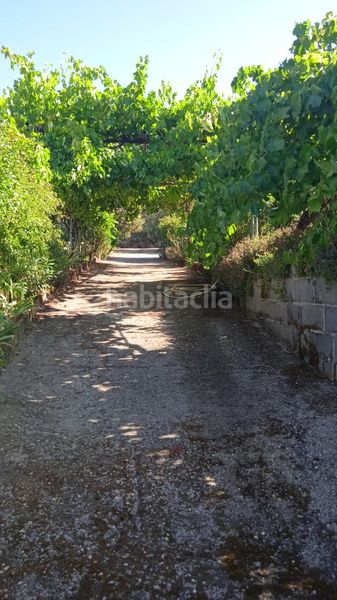 Foto 05d536d6-f7e2-4c36-b8ad-12e114e20299. Finca rústica a ex-203 7 a Jarandilla de la Vera