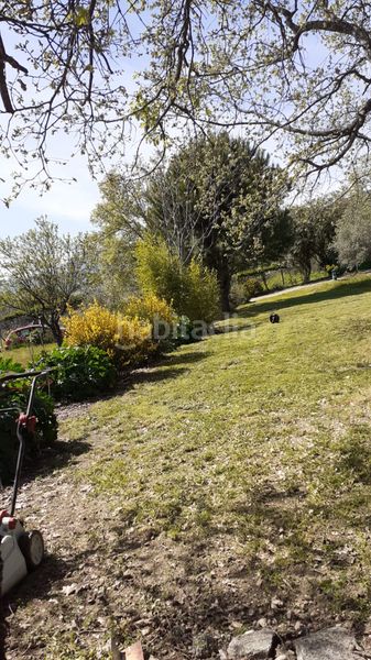 Foto 08f3c9cd-228c-4cc3-bb9e-ae5bce9f8b29. Finca rústica a ex-203 7 a Jarandilla de la Vera