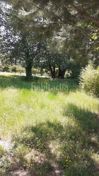 Foto 12d23aba-3902-4545-8703-9217ae130cf7. Finca rústica a ex-203 7 a Jarandilla de la Vera