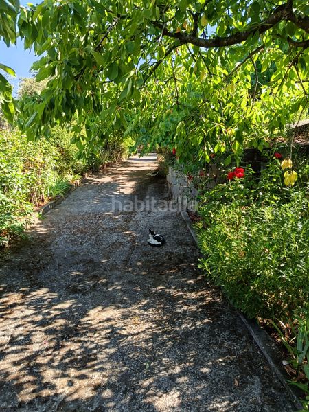 Foto 1de7b8dc-e52d-43a0-9637-880e4951e3d9. Finca rústica a ex-203 7 a Jarandilla de la Vera