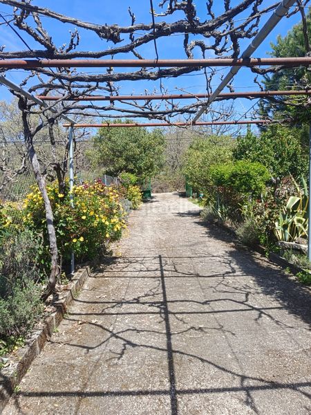 Foto 5223e799-f34b-47bb-9095-665685062dca. Finca rústica a ex-203 7 a Jarandilla de la Vera