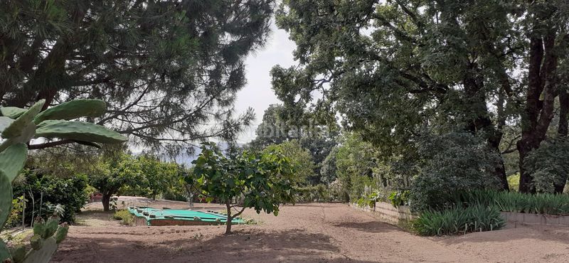 Foto 9bde69bb-8d91-4328-940b-74e9a85b11e4. Finca rústica a ex-203 7 a Jarandilla de la Vera