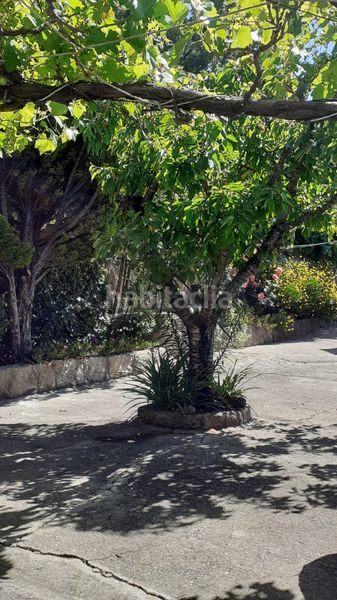 Foto af5bc43a-00f7-4eb9-8da8-6caab1802776. Finca rústica a ex-203 7 a Jarandilla de la Vera