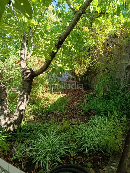 Foto fa1a47d4-ced8-482a-9084-033170fdd3bb. Finca rústica a ex-203 7 a Jarandilla de la Vera