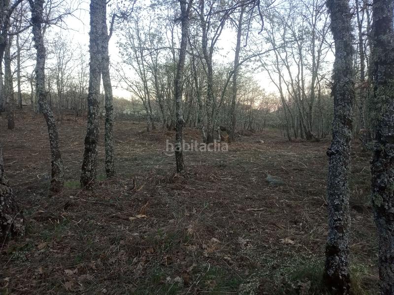 Foto 55e69cf7-e581-4f9d-83f2-de7fc374202a. Finca rústica finca , vende inmoex en Cuacos de Yuste