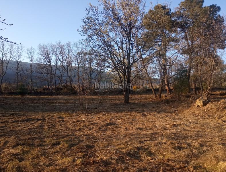 Foto 70c176c3-014f-410b-8eb4-21f5f6e81ab1. Finca rústica finca , vende inmoex en Cuacos de Yuste