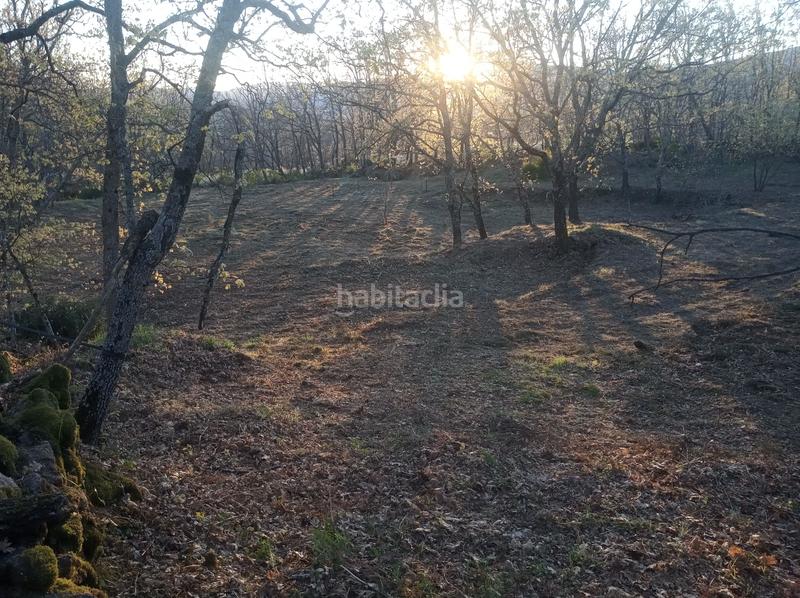 Foto 79ba2731-3b67-4860-bad2-d7215ad3000b. Finca rústica finca , vende inmoex en Cuacos de Yuste