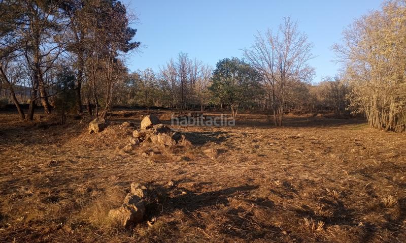 Foto b88f2afd-ef74-4d22-b826-7dfef1110dd4. Finca rústica finca , vende inmoex en Cuacos de Yuste