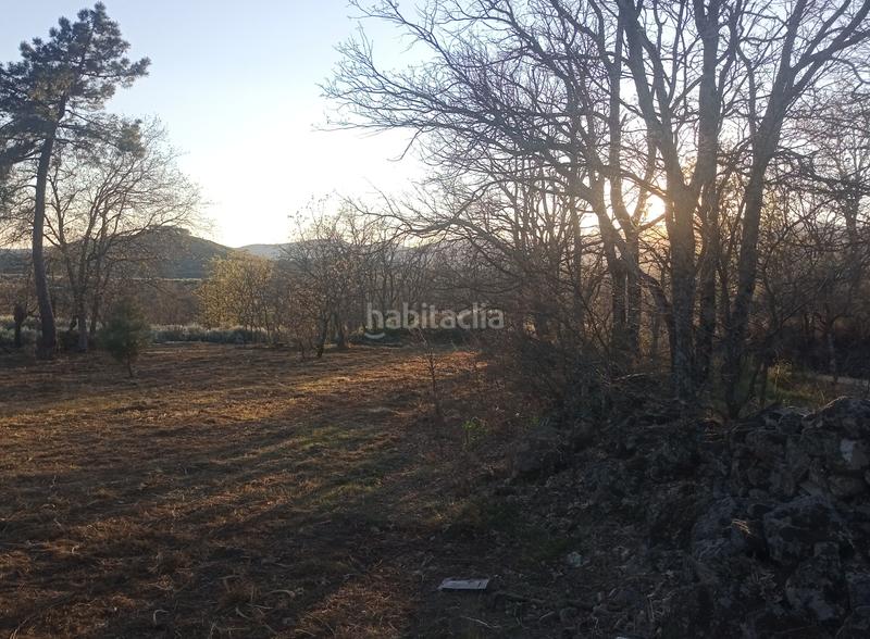 Foto bb723e3b-b256-47e3-9d5e-0b9e8bb9ef3d. Finca rústica finca , vende inmoex en Cuacos de Yuste