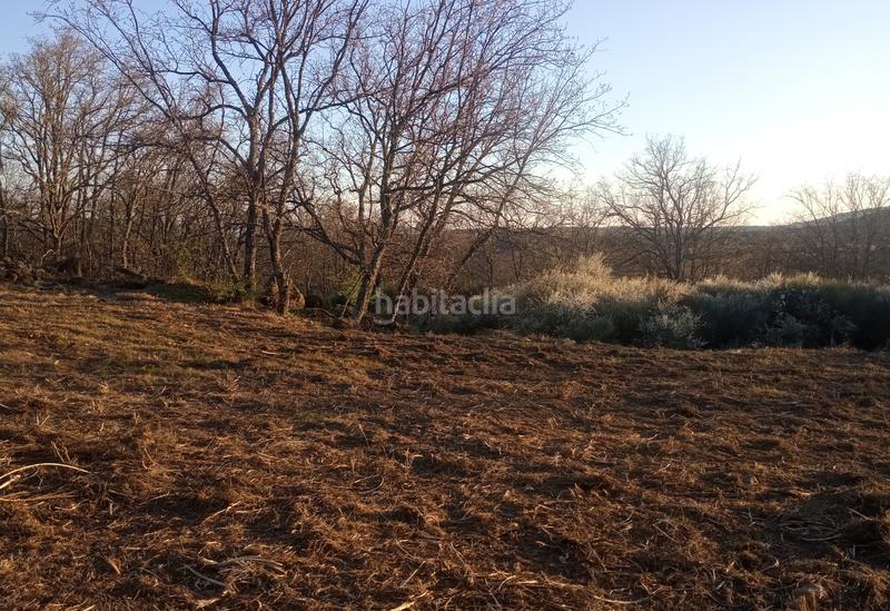 Foto c9f1d241-8815-4bf1-aa77-d8758fd15291. Finca rústica finca , vende inmoex en Cuacos de Yuste