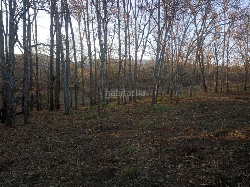 Foto dd9bb6b0-1d00-410c-b302-999bd7d663f1. Finca rústica finca , vende inmoex en Cuacos de Yuste