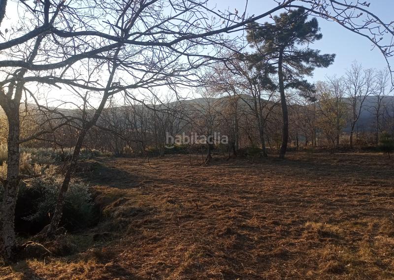 Foto fc15b81a-093c-4616-9b54-304d45c6ca3a. Finca rústica finca , vende inmoex en Cuacos de Yuste