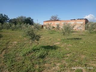 Finca rústica a Jarandilla de la Vera. Vende inmoex finca de regadio en jarandilla de la vera