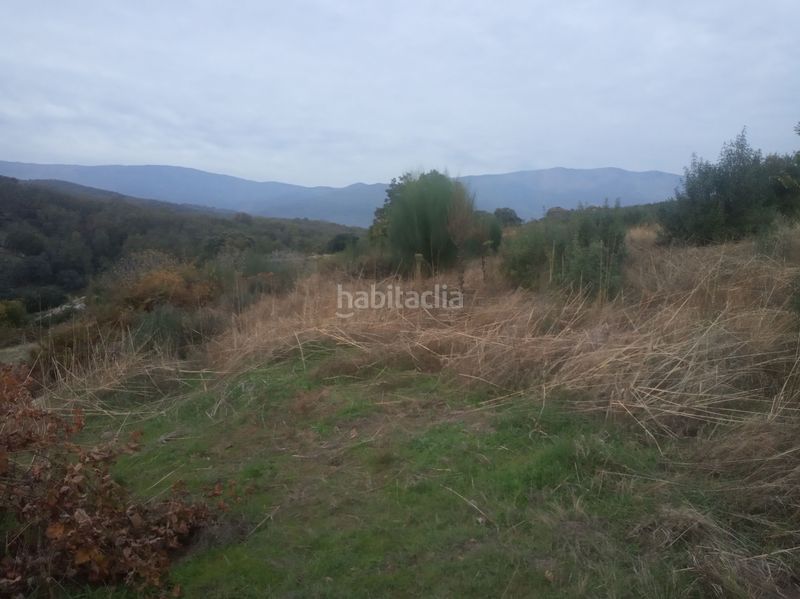 Foto 1bd6035e-ae49-47a3-b6da-81f2d0590d3f. Finca rústica a Jarandilla de la Vera