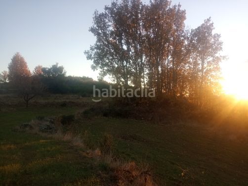 Foto 5a89063d-fac8-44af-90db-365bd74b7cda. Finca rústica a Jarandilla de la Vera