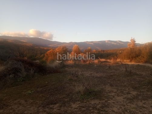 Foto 678ee8aa-b84d-49d8-9836-0c023d79e4df. Finca rústica a Jarandilla de la Vera