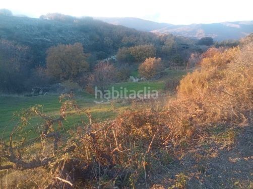 Foto b9c5f56e-b108-4d79-bfd2-98e0ea25583e. Finca rústica a Jarandilla de la Vera