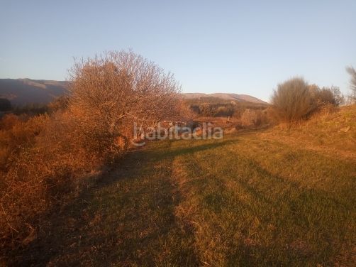 Foto be41e400-09f3-4bde-9229-577588354f42. Finca rústica a Jarandilla de la Vera