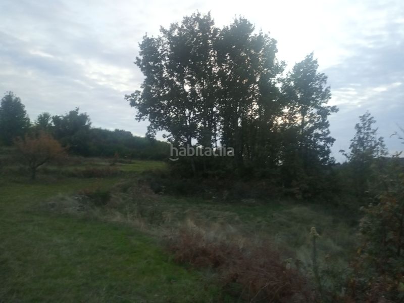 Foto ca94d51c-e6b9-45ae-9ca1-4a42168acdf5. Finca rústica a Jarandilla de la Vera