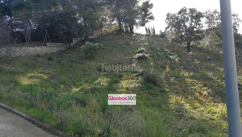 Foto 5497f81d-9eb0-499a-8ede-229698ef4411. Terreno residenziale in Almoster