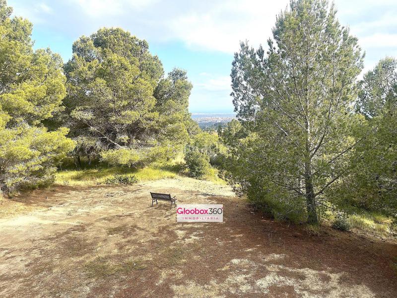 Foto 49887b00-d549-40db-94ef-946298dcc300. Xalet amb aparcament a Almoster