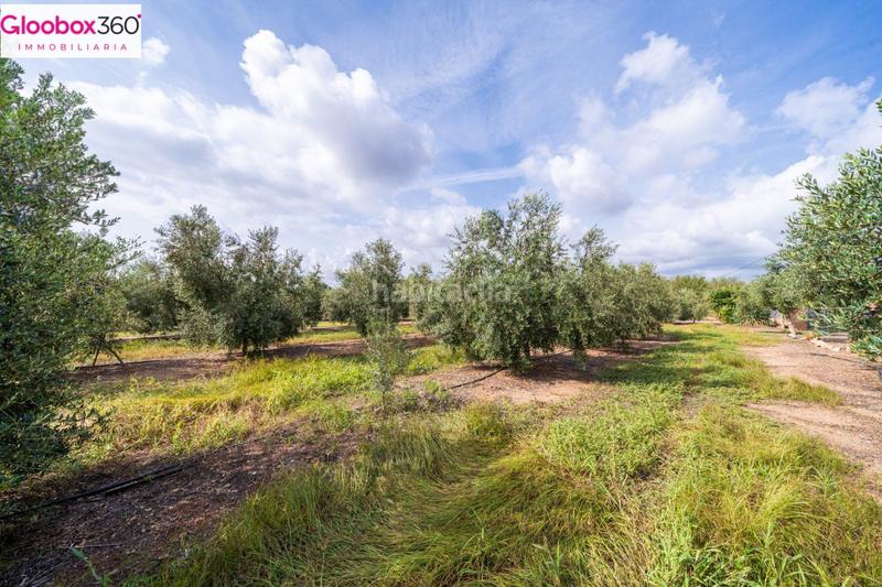 Foto 0482b0de-3708-4038-b5ef-70f8d17e6d0a. Xalet a carretera burgar del a Riudoms