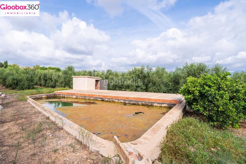 Foto 2d4ed9df-2b07-4eb6-8576-4a7f3c29d483. Xalet a carretera burgar del a Riudoms