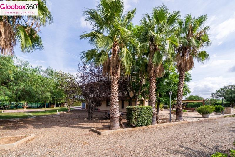 Foto be083d9d-4b21-41cb-87c1-8c0fbf4fded0. Xalet a carretera burgar del a Riudoms