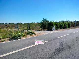 Finca rústica a Partida polígono 12 parcela 2 cenia. riudoms (tarragona) 12. Se vende finca en término de riudoms  baix camp  a ocho minutos