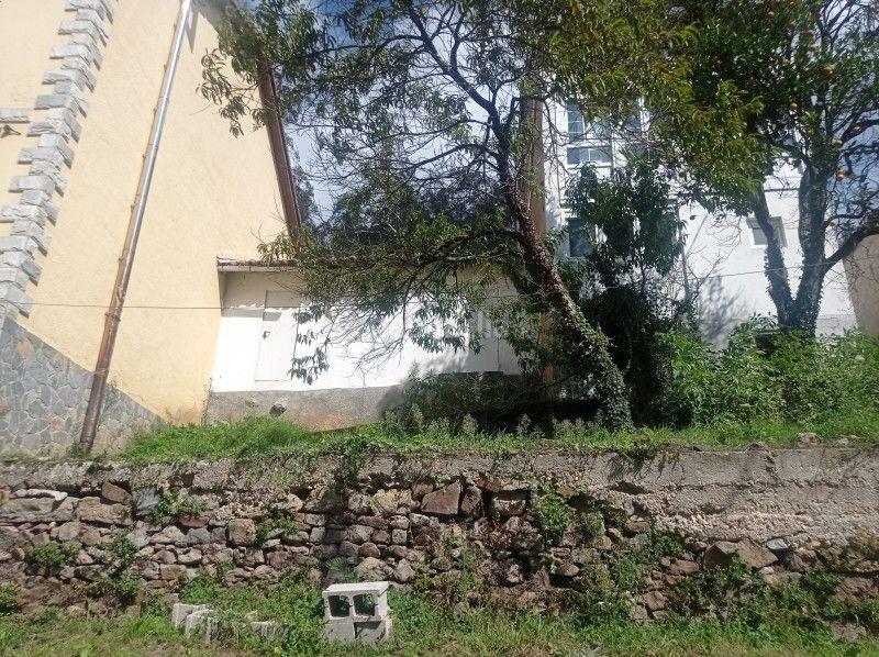 Foto ec970bae-782b-4b70-bbe0-19b4c3397fcd. Casa en as-236 22 casa en venta en beifar, asturias en Pravia