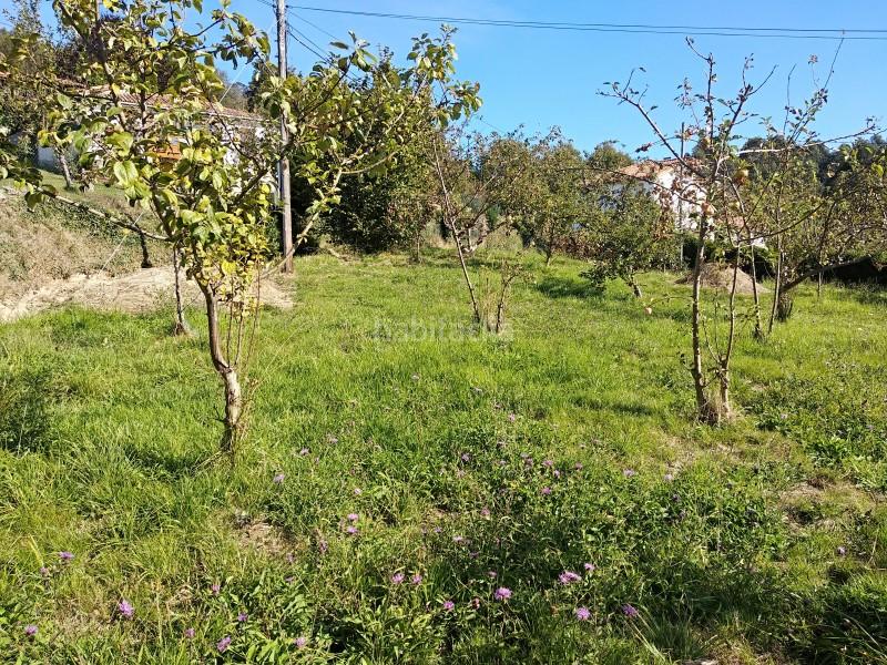 Foto 6762882d-b3f0-403b-8c95-01ada4660142. Maison jumelée avec parking dans Pravia