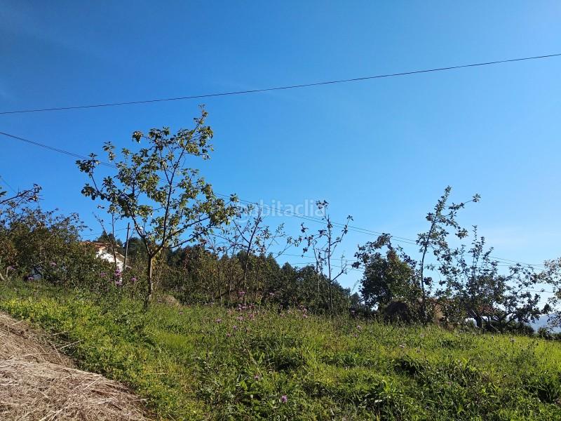 Foto 991605d9-d75d-43dd-80ae-a126f416eae1. Maison jumelée avec parking dans Pravia