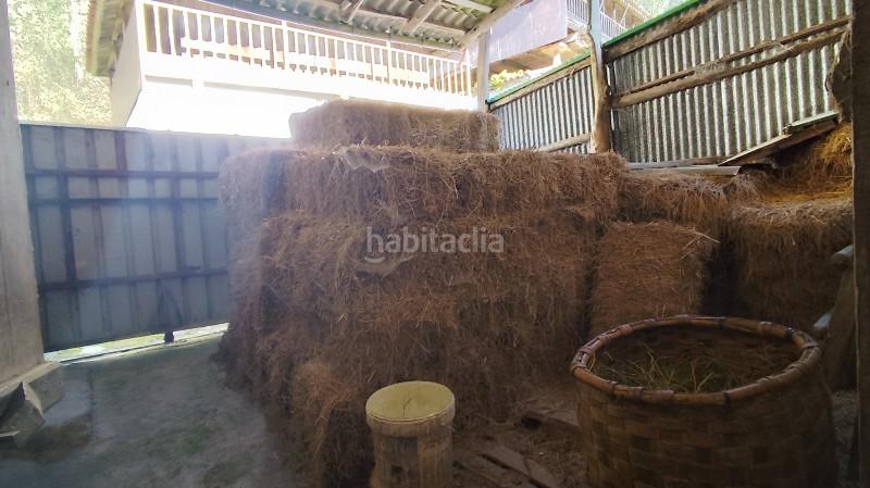 Foto dbc11a2d-e53f-42d3-9eaa-1d8ccebec1ff. Masia a n/a a Pravia