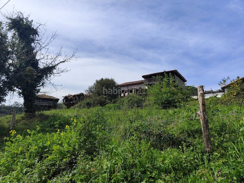 Foto 1aa556e3-a05c-497b-9df1-613c0f489951. Masia a n/a a Pravia