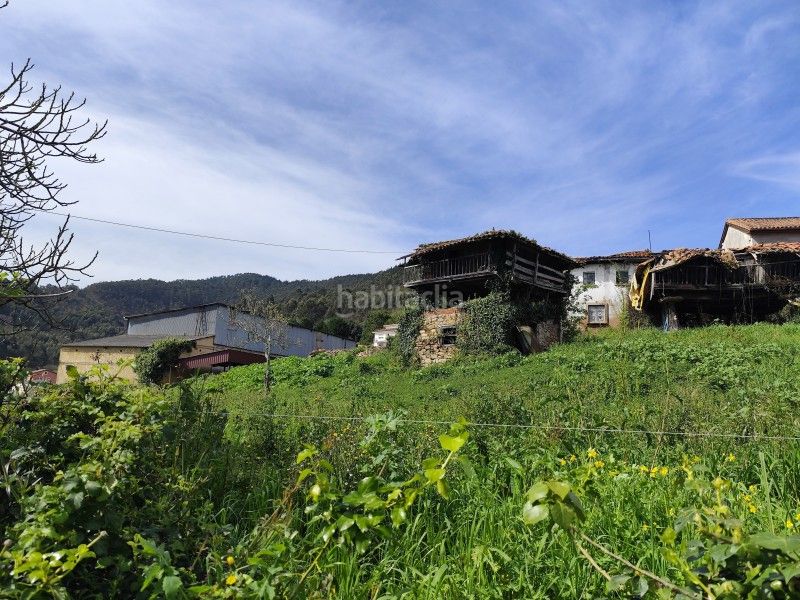 Foto 244f2862-3b8a-488f-ab5b-45abf3b8ae5a. Masia a n/a a Pravia