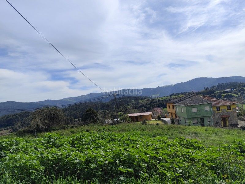 Foto 345b511c-7e82-42ca-9087-391981826094. Masia a n/a a Pravia