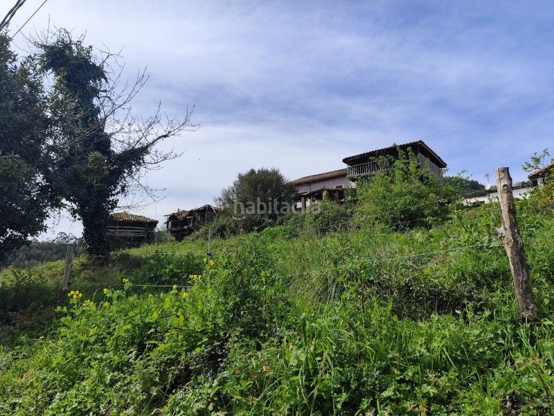Foto a34805a1-9058-4570-965d-9ff905b77407. Masia a n/a a Pravia