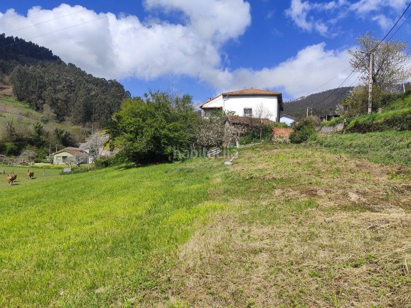 Foto 6dab607f-c20d-4e1e-b355-1ce6d5a57a86. Casa adossada a n/a a Pravia